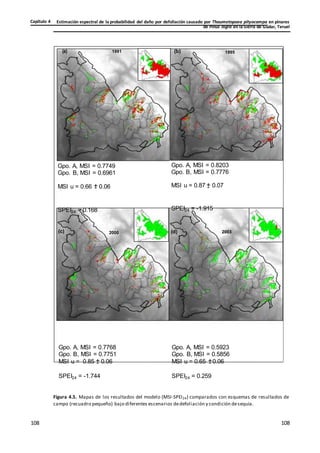 Estimación espectral de la probabilidad del daño por defoliación causado por Thaumetopoea pityocampa en pinares
de Pinus nigra en la Sierra de Gúdar, Teruel
Capítulo 4
108
108
108
108
108
108
1995
(a) 1991 (b) 1995
Gpo. A, MSI = 0.7749
Gpo. B, MSI = 0.6961
Gpo. A, MSI = 0.8203
Gpo. B, MSI = 0.7776
MSI u = 0.66 +
- 0.06 MSI u = 0.87 +
- 0.07
SPEI24 = 0.168 SPEI24 = -1.915
(c) 2000 (d) 2003
Gpo. A, MSI = 0.7768
Gpo. B, MSI = 0.7751
MSI u = 0.85 +
- 0.06
SPEI24 = -1.744
Gpo. A, MSI = 0.5923
Gpo. B, MSI = 0.5856
MSI u = 0.65 +
- 0.06
SPEI24 = 0.259
Figura 4.5. Mapas de los resultados del modelo (MSI-SPEI24) comparados con esquemas de resultados de
campo (recuadro pequeño) bajo diferentes escenarios dedefoliación y condición desequía.
 