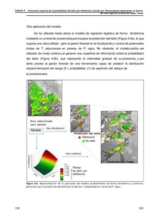 Estimación espectral de la probabilidad del daño por defoliación causado por Thaumetopoea pityocampa en pinares
de Pinus nigra en la Sierra de Gúdar, Teruel
Capítulo 4
110
110
110
110
110
110
. l
o f
e
D
-
P
P
T.p.-Defoliación
Otra aplicación del modelo
Se ha utilizado hasta ahora el modelo de regresión logística de forma dicotómica
mediante un umbral de presencia/ausenciapara la predicción del daño (Figura 4.6a), lo que
supone una clara utilidad para el gestor forestal en la localización y control de potenciales
brotes de T. pityocampa en pinares de P. nigra. No obstante, el modelo podría ser
utilizado de modo continuo al generar una superficie de información sobre la probabilidad
del daño (Figura 4.6b), que represente la intensidad gradual de su presencia, y por
tanto provea al gestor forestal de una herramienta capaz de predecir la distribución
espacio-temporal del riesgo (0 ≤ probabilidad ≤1) de aparición del ataque de
la procesionaria.
Zona seleccionada
para ejemplo
Modelo
Uso dicotómico (a)
Predicción del daño
Defoliación
No defol.
Uso continuo
> 0.9
< 0.825
< 0.625
< 0.425
< 0.225
< 0.025
Riesgo
de daño por
defoliación
(b)
Predicción del riesgo
Figura 4.6. Representación de la aplicación del modelo probabilístico de forma dicotómica y continua
generado para la predicción del daño por brotes de T. pityocampa en masas deP. nigra.
 