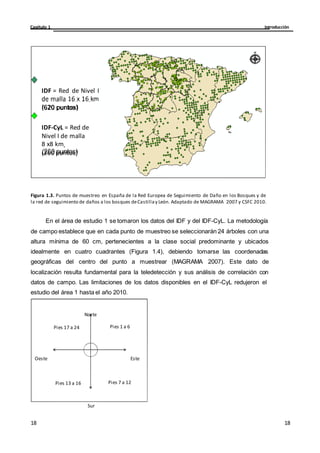 Introducción
Capítulo 1
18
18
18
18
y 4x4km
I
IDF= Red deNivel I
de malla 16x16 km
(620 puntos)
IDF CyL= Red de
Nivel I de malla
8x8 km
(260 puntos)
IDF = Red de Nivel I
de malla 16 x 16 km
(620 puntos)
IDF-CyL = Red de
Nivel I de malla
8 x8 km
(260 puntos)
Figura 1.3. Puntos de muestreo en España de la Red Europea de Seguimiento de Daño en los Bosques y de
la red de seguimiento de daños a los bosques deCastillay León. Adaptado de MAGRAMA 2007 y CSFC 2010.
En el área de estudio 1 se tomaron los datos del IDF y del IDF-CyL. La metodología
de campo establece que en cada punto de muestreo se seleccionarán 24 árboles con una
altura mínima de 60 cm, pertenecientes a la clase social predominante y ubicados
idealmente en cuatro cuadrantes (Figura 1.4), debiendo tomarse las coordenadas
geográficas del centro del punto a muestrear (MAGRAMA 2007). Este dato de
localización resulta fundamental para la teledetección y sus análisis de correlación con
datos de campo. Las limitaciones de los datos disponibles en el IDF-CyL redujeron el
estudio del área 1 hasta el año 2010.
Norte
Pies 17 a 24 Pies 1 a 6
Oeste Este
Pies 13 a 16 Pies 7 a 12
Sur
 