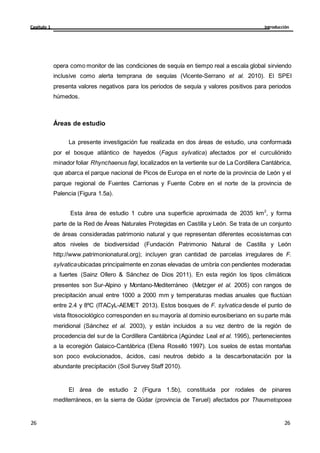 Introducción
Capítulo 1
26
26
26
26
opera como monitor de las condiciones de sequía en tiempo real a escala global sirviendo
inclusive como alerta temprana de sequías (Vicente-Serrano et al. 2010). El SPEI
presenta valores negativos para los periodos de sequía y valores positivos para periodos
húmedos.
Áreas de estudio
La presente investigación fue realizada en dos áreas de estudio, una conformada
por el bosque atlántico de hayedos (Fagus sylvatica) afectados por el curculiónido
minador foliar Rhynchaenus fagi, localizados en la vertiente sur de La Cordillera Cantábrica,
que abarca el parque nacional de Picos de Europa en el norte de la provincia de León y el
parque regional de Fuentes Carrionas y Fuente Cobre en el norte de la provincia de
Palencia (Figura 1.5a).
Esta área de estudio 1 cubre una superficie aproximada de 2035 km2
, y forma
parte de la Red de Áreas Naturales Protegidas en Castilla y León. Se trata de un conjunto
de áreas consideradas patrimonio natural y que representan diferentes ecosistemas con
altos niveles de biodiversidad (Fundación Patrimonio Natural de Castilla y León
http://www.patrimonionatural.org); incluyen gran cantidad de parcelas irregulares de F.
sylvaticaubicadas principalmente en zonas elevadas de umbría con pendientes moderadas
a fuertes (Sainz Ollero & Sánchez de Dios 2011). En esta región los tipos climáticos
presentes son Sur-Alpino y Montano-Mediterráneo (Metzger et al. 2005) con rangos de
precipitación anual entre 1000 a 2000 mm y temperaturas medias anuales que fluctúan
entre 2.4 y 8ºC (ITACyL-AEMET 2013). Estos bosques de F. sylvatica desde el punto de
vista fitosociológico corresponden en su mayoría al dominio eurosiberiano en su parte más
meridional (Sánchez et al. 2003), y están incluidos a su vez dentro de la región de
procedencia del sur de la Cordillera Cantábrica (Agúndez Leal et al. 1995), pertenecientes
a la ecoregión Galaico-Cantábrica (Elena Roselló 1997). Los suelos de estas montañas
son poco evolucionados, ácidos, casi neutros debido a la descarbonatación por la
abundante precipitación (Soil Survey Staff 2010).
El área de estudio 2 (Figura 1.5b), constituida por rodales de pinares
mediterráneos, en la sierra de Gúdar (provincia de Teruel) afectados por Thaumetopoea
 