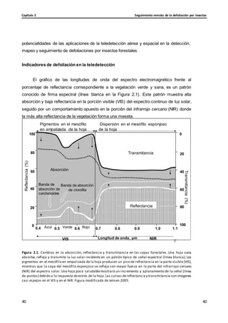 Seguimiento remoto de la defoliación por insectos
Capítulo 2
40
40
40
40
Transmitancia
(%)
Reflectancia
(%)
potencialidades de las aplicaciones de la teledetección aérea y espacial en la detección,
mapeo y seguimiento de defoliaciones por insectos forestales.
Indicadores de defoliación en la teledetección
El gráfico de las longitudes de onda del espectro electromagnético frente al
porcentaje de reflectancia correspondiente a la vegetación verde y sana, es un patrón
conocido de firma espectral (línea blanca en la Figura 2.1). Este patrón muestra alta
absorción y baja reflectancia en la porción visible (VIS) del espectro continuo de luz solar,
seguido por un comportamiento opuesto en la porción del infrarrojo cercano (NIR) donde
la más alta reflectancia de la vegetación forma una meseta.
100
80
60
Pigmentos en el mesófilo
en empalizada de la hoja
Absorción
Dispersión en el mesófilo esponjoso
de la hoja
0
Transmitancia 20
40
Banda de
40 absorción de
carotenoides
20
Banda de absorción
de clorofila 60
Reflectancia 80
0
0.4 Azul 0.5 Verde 0.6 Rojo 0.7 0.8 0.9 1.0 1.1
100
VIS Longitud de onda, μm NIR //
Figura 2.1. Cambios en la absorción, reflectancia y transmitancia en las copas forestales. Una hoja sana
absorbe, refleja y transmite la luz solar incidente en un patrón típico de señal espectral (línea blanca). Los
pigmentos en el mesófilo en empalizada de la hoja producen un pico de reflectancia en la parte visible(VIS),
mientras que la capa del mesófilo esponjoso se refleja con mayor fuerza en la parte del infrarrojo cercano
(NIR) del espectro solar.Una hoja poco saludablemostrará un incremento y aplanamiento de la señal (línea
de puntos) debido a la respuesta deestrés de la hoja.Las curvas dereflectanciay transmitancia son imágenes
casi espejos en el VIS y en el NIR. Figura modificada de Jensen 2005.
 