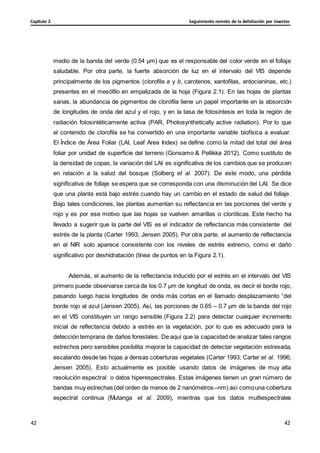 Seguimiento remoto de la defoliación por insectos
Capítulo 2
42
42
42
42
medio de la banda del verde (0.54 μm) que es el responsable del color verde en el follaje
saludable. Por otra parte, la fuerte absorción de luz en el intervalo del VIS depende
principalmente de los pigmentos (clorofila a y b, carotenos, xantofilas, antocianinas, etc.)
presentes en el mesófilo en empalizada de la hoja (Figura 2.1). En las hojas de plantas
sanas, la abundancia de pigmentos de clorofila tiene un papel importante en la absorción
de longitudes de onda del azul y el rojo, y en la tasa de fotosíntesis en toda la región de
radiación fotosintéticamente activa (PAR, Photosynthetically active radiation). Por lo que
el contenido de clorofila se ha convertido en una importante variable biofísica a evaluar.
El Índice de Área Foliar (LAI, Leaf Area Index) se define como la mitad del total del área
foliar por unidad de superficie del terreno (Gonsamo & Pellikka 2012). Como sustituto de
la densidad de copas, la variación del LAI es significativa de los cambios que se producen
en relación a la salud del bosque (Solberg et al. 2007). De este modo, una pérdida
significativa de follaje se espera que se corresponda con una disminución del LAI. Se dice
que una planta está bajo estrés cuando hay un cambio en el estado de salud del follaje.
Bajo tales condiciones, las plantas aumentan su reflectancia en las porciones del verde y
rojo y es por ese motivo que las hojas se vuelven amarillas o cloróticas. Este hecho ha
llevado a sugerir que la parte del VIS es el indicador de reflectancia más consistente del
estrés de la planta (Carter 1993; Jensen 2005). Por otra parte, el aumento de reflectancia
en el NIR solo aparece consistente con los niveles de estrés extremo, como el daño
significativo por deshidratación (línea de puntos en la Figura 2.1).
Además, el aumento de la reflectancia inducido por el estrés en el intervalo del VIS
primero puede observarse cerca de los 0.7 μm de longitud de onda, es decir el borde rojo,
pasando luego hacia longitudes de onda más cortas en el llamado desplazamiento “del
borde rojo al azul (Jensen 2005). Así, las porciones de 0.65 – 0.7 μm de la banda del rojo
en el VIS constituyen un rango sensible (Figura 2.2) para detectar cualquier incremento
inicial de reflectancia debido a estrés en la vegetación, por lo que es adecuado para la
detección temprana de daños forestales. De aquí que la capacidad de analizar tales rangos
estrechos pero sensibles posibilita mejorar la capacidad de detectar vegetación estresada,
escalando desde las hojas a densas coberturas vegetales (Carter 1993; Carter et al. 1996;
Jensen 2005). Esto actualmente es posible usando datos de imágenes de muy alta
resolución espectral o datos hiperespectrales. Estas imágenes tienen un gran número de
bandas muy estrechas (del orden de menos de 2 nanómetros –nm) así comouna cobertura
espectral continua (Mutanga et al. 2009), mientras que los datos multiespectrales
 