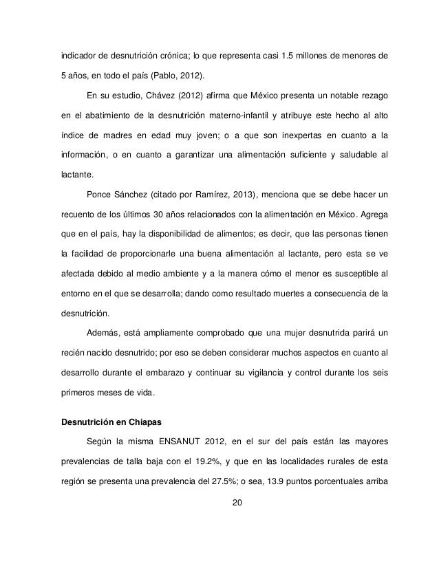 Tesis Profesional