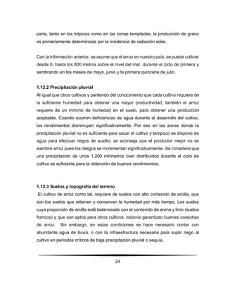 Diseño agronómico como herramienta fundamental en la organización d…