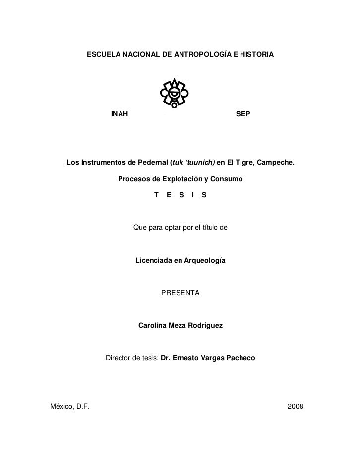 Los Instrumentos De Pedernal En El Tigre Campeche - 