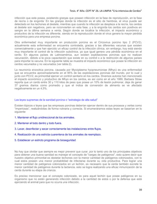 Tesis. 4° Año. CEPT N° 26. LA LIMPIA “Cría intensiva de Cerdos”
39
infección que este posea, existiendo granjas que poseen infección en la fase de reproducción, en la fase
de recría o de engorda: En las granjas donde la infección es el sitio de hembras, el virus puede ser
detectado en los lechones al destete, mientras que cuando la infección se desplaza a la recría, los cerdos
al destete son negativos, pero se roconvierten en esta fase, y a la engorda los cerdos son positivos en
sangre en la última semana a venta. Según donde se localice la infección, el impacto económico y
productivo de la infección es diferente, siendo en la reproducción donde el virus genera la mayor pérdida
económica para una empresa porcina.
Otra enfermedad muy importante en producción porcina es el Circovirus porcino tipo 2 (PCV2),
actualmente esta enfermedad se encuentra controlada, gracias a las diferentes vacunas que existen
comercialmente y que han ejercido un eficaz control de la infección clínica, sin embargo, hoy está siendo
muy importante el control de la infección subclínica, ya que igual genera una pérdida económica en el
cerdo. En algunos países de Latinoamérica, aun existen explotaciones porcinas que no realizan
vacunación, debido a la poca capacitación que existe en su control o a la restricción de algunos países
para importar la vacuna. En la siguiente tabla se muestra el impacto económico que posee la infección en
cerdos vacunados y no vacunados (ver tabla 2).
La neumonía enzootica porcina, causada por Mycoplasma hyopneumoniae (Mhyo) es una enfermedad
que se encuentra aproximadamente en el 95% de las explotaciones porcinas del mundo, por lo cual y
junto con PCV2, es primordial ejercer un control sanitario en los cerdos. Diversos autores han mencionado
el impacto económico y productivo de Mhyo en los cerdos, es así como en el año 1989, Barbara Straw
reporta que un cerdo entre 30 y 110 kilos de peso que posee un 10% de lesión pulmonar, deja de ganar
37 gramos diarios como promedio y que el índice de conversión de alimento se ve afectado
negativamente en un 4,5%.
Las leyes supremas de la sanidad porcina o “estrategia de alta salud”
Existen tópicos o leyes que las empresas porcinas deberían ejercer dentro de sus procesos y verlas como
“imperiosas”, realizándolas de forma rutinaria y correcta. Si enumeráramos estas leyes se basarían en lo
siguiente:
1. Mantener el flujo unidireccional de los animales.
2. Mantener el todo dentro y todo fuera.
3. Lavar, desinfectar y secar correctamente las instalaciones entre flujos.
4. Realización de una estricta cuarentena de los animales de reemplazo.
5. Establecer un estricto programa de bioseguridad
No hay que olvidar que siempre es mejor prevenir que curar, por lo tanto uno de los principales objetivos
para obtener una buena sanidad es manejar el concepto de "cargas de patógenos", esto quiere decir que
nuestro objetivo primordial es destetar lechones con la menor cantidad de patógenos colonizados, con lo
cual estos poseen una menor probabilidad de infectarse durante su vida productiva. Para lograr una
menor cantidad de patógenos colonizados en un lechón, es necesario que la cerda también excrete la
menor cantidad de patógenos durante la lactancia, esto se logra realizando una eficaz inmunización de la
cerda durante su etapa de crianza.
Es preciso mencionar que el concepto colonizado, es para aquel lechón que posee patógenos en su
organismo que no están generando infección debido a la cantidad de estos o por la defensa que está
ejerciendo el animal para que no ocurra una infección.
 
