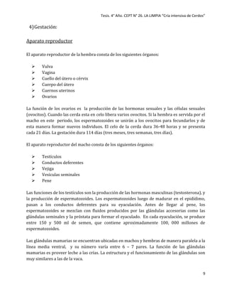 Tesis. 4° Año. CEPT N° 26. LA LIMPIA “Cría intensiva de Cerdos”
9
4)Gestación:
Aparato reproductor
El aparato reproductor de la hembra consta de los siguientes órganos:
 Vulva
 Vagina
 Cuello del útero o cérvix
 Cuerpo del útero
 Cuernos uterinos
 Ovarios
La función de los ovarios es la producción de las hormonas sexuales y las células sexuales
(ovocitos). Cuando las cerda esta en celo libera varios ovocitos. Si la hembra es servida por el
macho en este periodo, los espermatozoides se unirán a los ovocitos para fecundarlos y de
esta manera formar nuevos individuos. El celo de la cerda dura 36-48 horas y se presenta
cada 21 días. La gestación dura 114 días (tres meses, tres semanas, tres días).
El aparato reproductor del macho consta de los siguientes órganos:
 Testículos
 Conductos deferentes
 Vejiga
 Vesículas seminales
 Pene
Las funciones de los testículos son la producción de las hormonas masculinas (testosterona), y
la producción de espermatozoides. Los espermatozoides luego de madurar en el epidídimo,
pasan a los conductos deferentes para su eyaculación. Antes de llegar al pene, los
espermatozoides se mezclan con fluidos producidos por las glándulas accesorias como las
glándulas seminales y la próstata para formar el eyaculado. En cada eyaculación, se produce
entre 150 y 500 ml de semen, que contiene aproximadamente 100, 000 millones de
espermatozoides.
Las glándulas mamarias se encuentran ubicadas en machos y hembras de manera paralela a la
línea media ventral, y su número varía entre 6 – 7 pares. La función de las glándulas
mamarias es proveer leche a las crías. La estructura y el funcionamiento de las glándulas son
muy similares a las de la vaca.
 