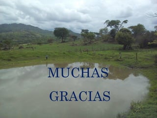 MUCHAS
GRACIAS
 