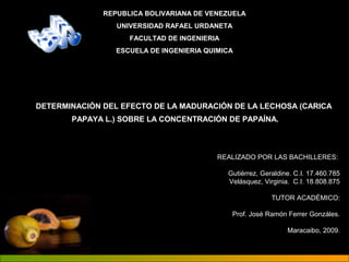 REPUBLICA BOLIVARIANA DE VENEZUELA 
UNIVERSIDAD RAFAEL URDANETA 
FACULTAD DE INGENIERIA 
ESCUELA DE INGENIERIA QUIMICA 
DETERMINACIÓN DEL EFECTO DE LA MADURACIÓN DE LA LECHOSA (CARICA 
PAPAYA L.) SOBRE LA CONCENTRACIÓN DE PAPAÍNA. 
REALIZADO POR LAS BACHILLERES: 
Gutiérrez, Geraldine. C.I. 17.460.785 
Velásquez, Virginia. C.I. 18.808.875 
TUTOR ACADÉMICO: 
Prof. José Ramón Ferrer Gonzáles. 
Maracaibo, 2009. 
 