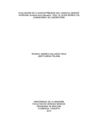 EVALUACION DE LA SUSCEPTIBILIDAD DEL CARACOL GIGANTE
AFRICANO Achatina fulica (Bowdich, 1822), AL ÁCIDO BÓRICO EN
CONDICIONES DE LABORATORIO
YESSICA ANDREA COLLAZOS PAIVA
LIBETH MENA POLANIA
UNIVERSIDAD DE LA AMAZONÍA
FACULTAD DE CIENCIAS BÁSICAS
PROGRAMA DE BIOLOGÍA
FLORENCIA, CAQUETA
2013
 