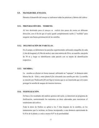 15
3.5. MANEJO DEL ENSAYO.
Durante el desarrollo del ensayo se realizaron todas las prácticas y labores del cultivo
3.5.1. PREPARACIÓN DEL TERRENO.
Al lote destinado para el ensayo se realizó dos pases de rastra en diferente
dirección, con el fin de que el suelo quede completamente suelto y “mullido” para
asegurar una buena germinación de las semillas.
3.5.2. DELIMITACIÓN DE PARCELAS.
En el campo, se delimitaron las parcelas experimentales utilizando estaquillas de caña
(1,6m de longitud y 0,10m de ancho), una cinta métrica de 50 m, un martillo, una piola
de 50 m y luego se identificaron cada parcela con su tarjeta de identificación
respectiva.
3.5.3. SIEMBRA.
La siembra se efectuó en forma manual, utilizando un "espeque", la distancia entre
hileras fue de 0,8m y entre planta 0,2m colocando una semilla por sitio. La semilla
se mezcló con Thidiocarb (20 cm3/kg) el mismo que es un insecticida que sirve para
proteger la semilla de ataques de insectos tierreros.
3.5.4. FERTILIZACIÓN.
En base a los resultados del análisis químico del suelo, se determinó un programa de
fertilización, suministrando los nutrientes en dosis adecuadas para maximizar el
rendimiento del cultivo.
Toda la dosis de fósforo se aplicó a los 5 días después de la siembra, en los
tratamientos que lo incluían, en forma incorporada, a una distancia aproximada de
0,10 m de la planta y a más o menos 0,07 m de profundidad.
 