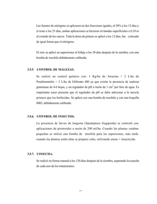 16
Las fuentes de nitrógeno se aplicaron en dos fracciones iguales, el 50% a los 12 días y
el resto a los 25 días, ambas aplicaciones se hicieron en bandas superficiales a 0,10 m
al costado de los surcos. Toda la dosis de potasio se aplicó a los 12 días, fue colocado
de igual forma que el nitrógeno.
El zinc se aplicó en aspersiones al follaje a los 30 días después de la siembra, con una
bomba de mochila debidamente calibrada.
3.5.5. CONTROL DE MALEZAS.
Se realizó un control químico con: 1 Kg/ha de Atrazina + 2 L/ha de
Pendimentalin + 2 L/ha de Glifosato 480 ya que existía la presencia de malezas
gramíneas de 4-6 hojas, y un regulador de pH a razón de 1 cm3
por litro de agua. Es
importante tener presente que el regulador de pH se debe adicionar a la mezcla
primero que los herbicidas. Se aplicó con una bomba de mochila y con una boquilla
8002, debidamente calibrada.
3.5.6. CONTROL DE INSECTOS.
La presencia de larvas de langosta (Spodoptera frugiperda) se controló con
aplicaciones de piretroides a razón de 200 ml/ha. Cuando las plantas estaban
pequeñas se utilizó una bomba de mochila para las aspersiones, más tarde
cuando las plantas están altas se preparo cebo, utilizando arena + insecticida.
3.5.7. COSECHA.
Se realizó en forma manual a los 120 días después de la siembra, separando la cosecha
de cada uno de los tratamientos.
 
