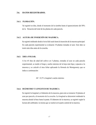 17
3.6. DATOS REGISTRADOS.
3.6.1. FLORACIÓN.
Se registró en días, desde el momento de la siembra hasta el aparecimiento del 50%
de la floración del total de las plantas de cada parcela.
3.6.2. ALTURA DE INSERCIÓN DE MAZORCA.
Se registró midiendo desde el nivel del suelo hasta la inserción de la mazorca principal.
En cada parcela experimental se evaluaron 10 plantas tomadas al azar. Este dato se
tomó siete días antes de la cosecha.
3.6.3. ÁREA FOLIAR.
A los 65 días de edad del cultivo en 5 plantas, tomadas al azar en cada parcela
experimental, se medio el largo y ancho máximo de la hoja más baja y opuesta a la
mazorca y se calculó el área foliar aplicando la fórmula de Montgomery que se
indica a continuación:
AF = 0,75 x longitud x ancho máximo
3.6.4. DIÁMETRO Y LONGITUD DE MAZORCA
Se registró la longitud y el diámetro de la mazorca, para esto se tomaron 10 plantas al
azar por parcela, al momento de la cosecha. La longitud se determinó midiendo la
mazorca desde la base hasta la punta. El diámetro de la mazorca, se registró según la
lectura del calibrador, la misma que se realizó en la parte central de la mazorca.
 
