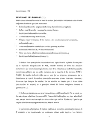 5
incorporación (18).
FUNCIONES DEL FOSFORO (12).
El fósforo es un elemento esencial para las plantas, ya que interviene en funciones de vital
importancia entre las que cabe mencionar:
* Estimula el desarrollo temprano de la raíz y el crecimiento de la planta.
* Influye en el desarrollo y vigor de las plantas jóvenes.
* Participa en la formación de semillas.
* Acelera la floración y fructificación.
* Origina mayor resistencia de las plantas a las condiciones adversas (acame,
enfermedades, etc.).
* Aumenta el tenor de carbohidratos, aceites, grasas y proteínas.
* Estimula la relación N/P y N/Zn especialmente.
* Tiene una buena relación con algunos reguladores de crecimiento, y
* Participa en la fijación simbiótica del N.
El fósforo tiene participación en otras funciones específicas de la planta: Forma parte
de la molécula transportadora de ATP, estando presente en todos los procesos
metabólicos que involucran energía. Forma parte de la estructura de los fosfolípidos de las
membranas celulares, de los ácidos nucleicos, de la mayoría de las enzimas NAD y
NADP, del ácido fosfoglicérido que es uno de los primeros compuestos de la
fotosíntesis, y a partir de aquí se generan los azucares, grasas, proteínas, vitaminas y
hormonas que integran las células. En las semillas se conoce que el ácido fitico
(hexafosfato de inositol) es la principal fuente de fosfato inorgánico durante la
germinación (2).
El fósforo, se caracteriza por ser el elemento más estable en el suelo. No se pierde por
lavado, ni por volatilización como el N. Esta estabilidad implica una baja solubilidad,
esto, es que muchos suelos tropicales tienen alta capacidad de fijación de P por lo que
origina deficiencias de disponibilidad de P para las plantas.
El incremento del contenido de materia orgánica de los suelos, aumenta el contenido de
P orgánico y en consecuencia los contenidos totales serán mayores. Los factores
 
