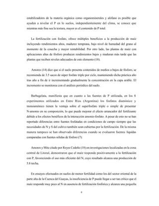 6
estabilizadores de la materia orgánica como organominerales y alófano es posible que
ayuden a nivelar el P en lo suelos, independientemente del clima, se conoce que
mientras más fina sea la textura, mayor es el contenido de P total.
La fertilización con fosfato, ofrece múltiples beneficios a la producción de maíz
incluyendo rendimientos altos, madurez temprana, bajo nivel de humedad del grano al
momento de la cosecha y mayor rentabilidad. Por otro lado, las plantas de maíz con
aplicaciones altas de fósforo producen rendimientos bajos y maduran más tarde que las
plantas que reciben niveles adecuados de este elemento (18).
Amores (14) dice que si el suelo presenta contenidos de medios a bajos de fósforo, se
recomienda de 3.5 sacos de súper fosfato triple por ciclo, manteniendo dicha práctica año
tras año a fin de ir incrementando gradualmente la concentración en la capa arable. El
incremento se monitorea con el análisis periódico del suelo.
Barbagelata, manifiesta que en cuanto a las fuentes de P utilizada, en los 8
experimentos utilizados en Entre Ríos (Argentina) los fosfatos diamónico y
monoamónico tienen la ventaja sobre el superfosfato triple o simple de presentar
N-amonio en su composición, lo que puede mejorar el efecto arrancador del fertilizante
debido a los efectos benéficos de la interacción amonio-fosfato. A pesar de esto no se han
reportado diferencias entre fuentes fosfatadas en condiciones de campo siempre que las
necesidades de N y S del cultivo también sean cubiertas por la fertilización. De la misma
manera tampoco se han observado diferencias cuando se evaluaron fuentes líquidas
comparadas con fuentes sólidas de fósforo (7).
Amores y Mite citado por Reyes Cedeño (18) en investigaciones localizadas en la zona
central de Litoral, demostraron que el maíz responde positivamente a la fertilización
con P, favoreciendo el uso más eficiente del N, cuyo resultado alcanza una producción de
5.8 tm/ha.
En ensayos efectuados en suelos de menor fertilidad como los del sector oriental de la
parte alta de la Cuenca del Guayas, la insuficiencia de P puede llegar a ser tan crítico que el
maíz responde muy poco al N en ausencia de fertilización fosfórica y alcanza una pequeña
 