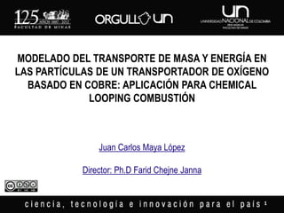 MODELADO DEL TRANSPORTE DE MASA Y ENERGÍA EN
LAS PARTÍCULAS DE UN TRANSPORTADOR DE OXÍGENO
BASADO EN COBRE: APLICACIÓN PARA CHEMICAL
LOOPING COMBUSTIÓN
1
Juan Carlos Maya López
Director: Ph.D Farid Chejne Janna
 