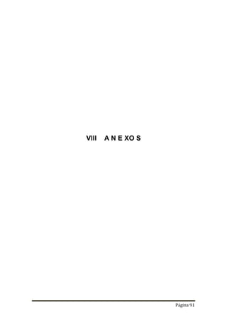 Página 91
VIII A N E XO S
 