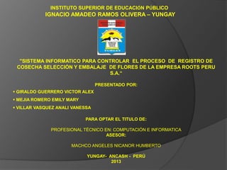 INSTITUTO SUPERIOR DE EDUCACIÓN PÚBLICO

IGNACIO AMADEO RAMOS OLIVERA – YUNGAY

"SISTEMA INFORMATICO PARA CONTROLAR EL PROCESO DE REGISTRO DE
COSECHA SELECCIÓN Y EMBALAJE DE FLORES DE LA EMPRESA ROOTS PERU
S.A.“
PRESENTADO POR:

 GIRALDO GUERRERO VICTOR ALEX
 MEJIA ROMERO EMILY MARY
 VILLAR VASQUEZ ANALI VANESSA
PARA OPTAR EL TITULO DE:

PROFESIONAL TÉCNICO EN: COMPUTACIÓN E INFORMATICA
ASESOR:
MACHCO ANGELES NICANOR HUMBERTO
YUNGAY- ANCASH - PERÚ
2013

 