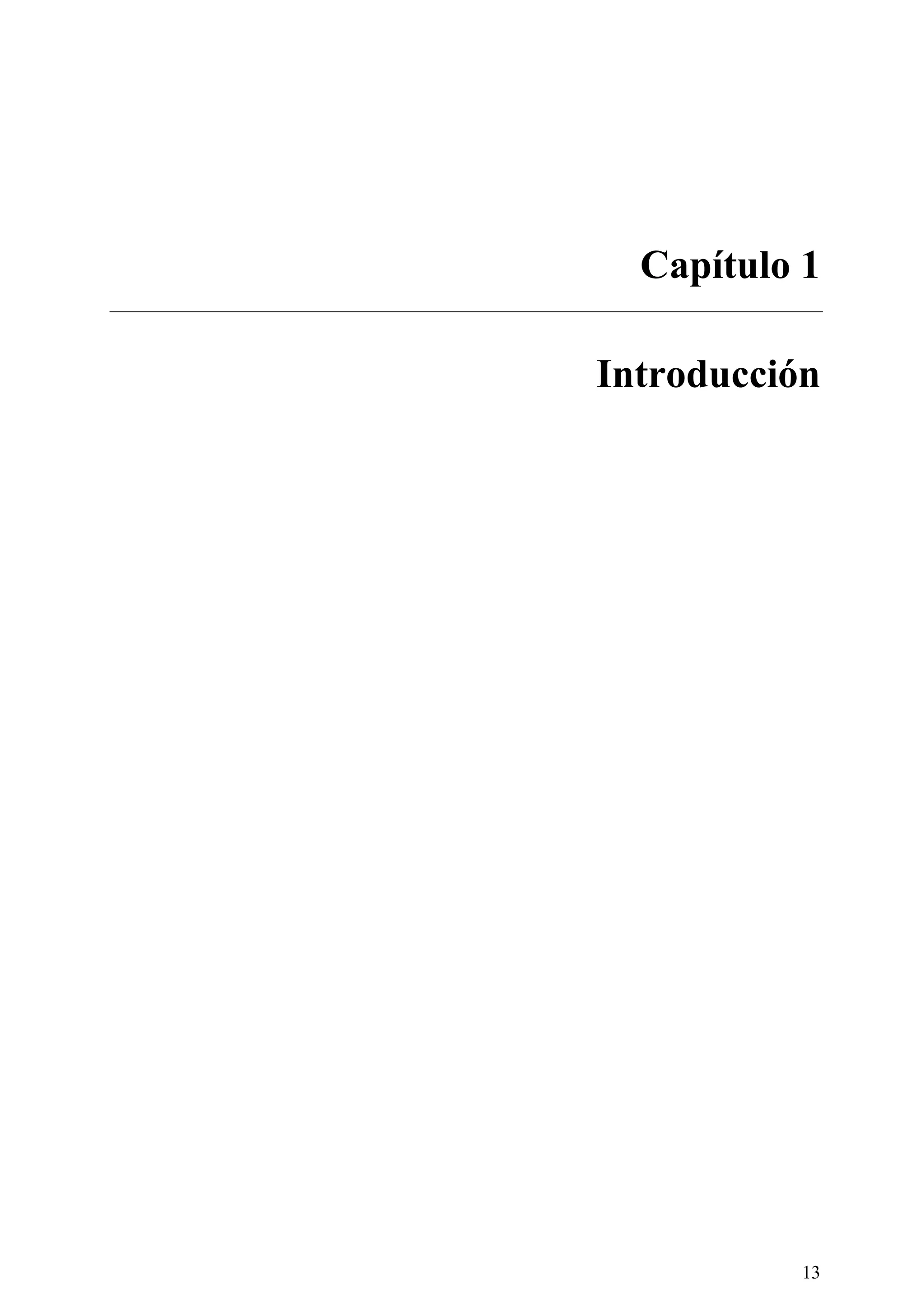 13
Capítulo 1
Introducción
 