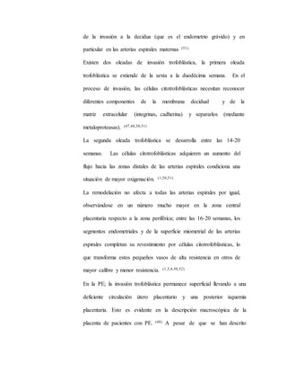 de la invasión a la decidua (que es el endometrio grávido) y en
particular en las arterias espirales maternas (51).
Existen dos oleadas de invasión trofoblástica, la primera oleada
trofoblástica se extiende de la sexta a la duodécima semana. En el
proceso de invasión, las células citotrofoblásticas necesitan reconocer
diferentes componentes de la membrana decidual y de la
matriz extracelular (integrinas, cadherina) y separarlos (mediante
metaloproteasas). (47,48,50,51)
La segunda oleada trofoblástica se desarrolla entre las 14-20
semanas. Las células citotrofoblásticas adquieren un aumento del
flujo hacia las zonas distales de las arterias espirales condiciona una
situación de mayor oxigenación. (1,50,51)
La remodelación no afecta a todas las arterias espirales por igual,
observándose en un número mucho mayor en la zona central
placentaria respecto a la zona periférica; entre las 16-20 semanas, los
segmentos endometriales y de la superficie miometrial de las arterias
espirales completan su revestimiento por células citotrofoblásticas, lo
que transforma estos pequeños vasos de alta resistencia en otros de
mayor calibre y menor resistencia. (1,3,4,50,52)
En la PE; la invasión trofoblástica permanece superficial llevando a una
deficiente circulación útero placentario y una posterior isquemia
placentaria. Esto es evidente en la descripción macroscópica de la
placenta de pacientes con PE. (48) A pesar de que se han descrito
 