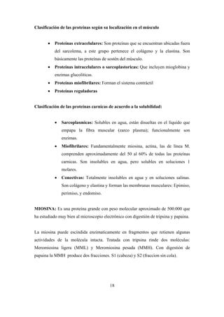 18
Clasificación de las proteínas según su localización en el músculo
 Proteínas extracelulares: Son proteínas que se encuentran ubicadas fuera
del sarcolema, a este grupo pertenece el colágeno y la elastina. Son
básicamente las proteínas de sostén del músculo.
 Proteínas intracelulares o sarcoplastoricas: Que incluyen mioglobina y
enzimas glucoliticas.
 Proteínas miofibrilares: Forman el sistema contráctil
 Proteínas reguladoras
Clasificación de las proteínas carnicas de acuerdo a la solubilidad:
 Sarcoplasmicas: Solubles en agua, están disueltas en el líquido que
empapa la fibra muscular (zarco plasma); funcionalmente son
enzimas.
 Miofibrilares: Fundamentalmente miosina, actina, las de línea M.
comprenden aproximadamente del 50 al 60% de todas las proteínas
carnicas. Son insolubles en agua, pero solubles en soluciones 1
molares.
 Conectivas: Totalmente insolubles en agua y en soluciones salinas.
Son colágeno y elastina y forman las membranas musculares: Epimiso,
perimiso, y endomiso.
MIOSINA: Es una proteína grande con peso molecular aproximado de 500.000 que
ha estudiado muy bien al microscopio electrónico con digestión de tripsina y papaina.
La miosina puede escindida enzimaticamente en fragmentos que retienen algunas
actividades de la molécula intacta. Tratada con tripsina rinde dos moléculas:
Meromiosina ligera (MML) y Meromiosina pesada (MMH). Con digestión de
papaina la MMH produce dos fracciones. S1 (cabeza) y S2 (fraccion sin cola).
 