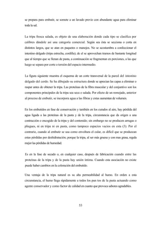 53
se prepara para embutir, se somete a un lavado previo con abundante agua para eliminar
toda la sal.
La tripa fresca salada, es objeto de una elaboración donde cada tipo se clasifica por
calibres dándole así una categoría comercial. Según sea ésta se secciona o corta en
distintos largos, que se atan en paquetes o manojos. No se acostumbra a confeccionar el
intestino delgado (tripa estrecha, cordilla); de el se aprovechan tramos de bastante longitud
que al tiempo que se llenan de pasta, a continuación se fragmentan en porciones, a las que
luego se separa por corte o torsión del espacio intermedio.
La figura siguiente muestra el esquema de un corte transversal de la pared del intestino
delgado del cerdo. Se ha dibujado su estructura donde se aprecian las capas a eliminar o
raspar antes de obtener la tripa. Las proteínas de la fibra muscular y del conjuntivo son los
componentes principales de la tripa sea seca o salada. Por efecto de un remojado, anterior
al proceso de embutir, se incorpora agua a las fibras y estas aumentan de volumen.
En los embutidos en fase de conservación y también en los curados al aire, hay pérdida del
agua ligada a las proteínas de la pasta y de la tripa, circunstancia que da origen a una
contracción o encogido de la tripa y del contenido; sin embargo no se producen arrugas o
pliegues, ni en tripa ni en pasta, como tampoco espacios vacios en esta (3). Por el
contrario, cuando al embutir se usa como envoltura el cular, es difícil que se produzcan
estas pérdidas por deshidratación; porque la tripa, al ser más gruesa y con mas grasa, regula
mejor las pérdidas de humedad.
Es en la fase de secado o, en cualquier caso, después de fabricación cuando entre las
proteínas de la tripa y de la pasta hay unión íntima. Cuando esta asociación no existe
puede haber cambios en la coloración del embutido.
Una ventaja de la tripa natural es su alta permeabilidad al humo. En orden a esta
circunstancia, el humo llega rápidamente a todos los pun tos de la pasta actuando como
agente conservador y como factor de calidad en cuanto que provoca sabores agradables.
 