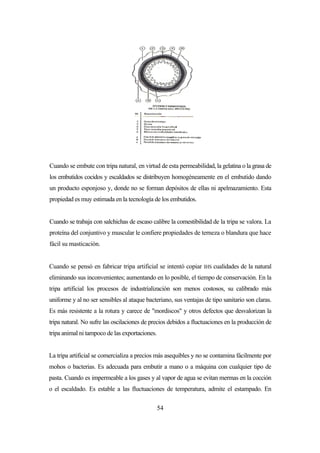 54
Cuando se embute con tripa natural, en virtud de esta permeabilidad, la gelatina o la grasa de
los embutidos cocidos y escaldados se distribuyen homogéneamente en el embutido dando
un producto esponjoso y, donde no se forman depósitos de ellas ni apelmazamiento. Esta
propiedad es muy estimada en la tecnología de los embutidos.
Cuando se trabaja con salchichas de escaso calibre la comestibilidad de la tripa se valora. La
proteína del conjuntivo y muscular le confiere propiedades de terneza o blandura que hace
fácil su masticación.
Cuando se pensó en fabricar tripa artificial se intentó copiar IHS cualidades de la natural
eliminando sus inconvenientes; aumentando en lo posible, el tiempo de conservación. En la
tripa artificial los procesos de industrialización son menos costosos, su calibrado más
uniforme y al no ser sensibles al ataque bacteriano, sus ventajas de tipo sanitario son claras.
Es más resistente a la rotura y carece de "mordiscos" y otros defectos que desvalorizan la
tripa natural. No sufre las oscilaciones de precios debidos a fluctuaciones en la producción de
tripa animal ni tampoco de las exportaciones.
La tripa artificial se comercializa a precios más asequibles y no se contamina fácilmente por
mohos o bacterias. Es adecuada para embutir a mano o a máquina con cualquier tipo de
pasta. Cuando es impermeable a los gases y al vapor de agua se evitan mermas en la cocción
o el escaldado. Es estable a las fluctuaciones de temperatura, admite el estampado. En
 