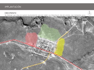 S pp  z   qpm b b  pp   ,  p h
    z   bj , h    p     
p     f  pb,   z       
f p        b f.
CRECIIENTO
IPLANTACIN
 