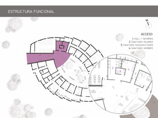 1.H / Ifm
2.S mj
3.S p
4.S hmb
1
2
3
4
ACCESO
ESTRCTRA FNCIONAL
 