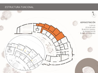 1.Off
2.S
3.Ah g
4.Am
5.S  
5
1
4
3
2
ADINISTRACIN
ESTRCTRA FNCIONAL
 