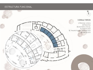 1 2
3
4
5
6
1. 
2.P
3.A S
4.Og
5.Tmg/ Kg
6.Gg
CONSLTORIOS
ESTRCTRA FNCIONAL
 