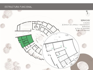 1.Im
2.Dp  mpz y mm
3.R
4.S  m
5.  mq
1
3
4
2
5
SERICIOS
ESTRCTRA FNCIONAL
 