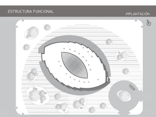 ESTRCTRA FNCIONAL
IPLANTACIN
 