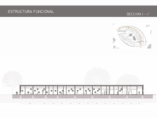ESTRCTRA FNCIONAL
SECCION 1 - 1
 
