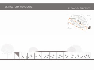 ESTRCTRA FNCIONAL
ELEACIN SROESTE
 