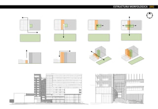 ESTRUCTURA MORFOLOGICA [05]
 