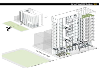 ESTRUCTURA MORFOLOGICA [05]
 