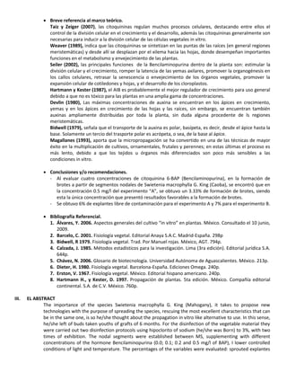  Breve referencia al marco teórico.
Taiz y Zeiger (2007), las citoquininas regulan muchos procesos celulares, destacando entre ellos el
control de la división celular en el crecimiento y el desarrollo, además las citoquininas generalmente son
necesarias para inducir a la división celular de las células vegetales in vitro.
Weaver (1989), indica que las citoquininas se sintetizan en las puntas de las raíces (en general regiones
meristemáticas) y desde allí se desplazan por el xilema hacia las hojas, donde desempeñan importantes
funciones en el metabolismo y envejecimiento de las plantas.
Seiler (2002), las principales funciones de la Bencilaminopurina dentro de la planta son: estimular la
división celular y el crecimiento, romper la latencia de las yemas axilares, promover la organogénesis en
los callos celulares, retrasar la senescencia o envejecimiento de los órganos vegetales, promover la
expansión celular de cotiledones y hojas, y el desarrollo de los cloroplastos.
Hartmann y Kester (1987), el AIB es probablemente el mejor regulador de crecimiento para uso general
debido a que no es tóxico para las plantas en una amplia gama de concentraciones.
Devlin (1980), Las máximas concentraciones de auxina se encuentran en los ápices en crecimiento,
yemas y en los ápices en crecimiento de las hojas y las raíces, sin embargo, se encuentran también
auxinas ampliamente distribuidas por toda la planta, sin duda alguna procedente de ls regiones
meristemáticas.
Bidwell (1979), señala que el transporte de la auxina es polar, basípeta, es decir, desde el ápice hasta la
base. Solamente un tercio del trasporte polar es acrópeta, o sea, de la base al ápice.
Magallanes (1993), aporta que la micropropagación se ha convertido en una de las técnicas de mayor
éxito en la multiplicación de cultivos, ornamentales, frutales y perennes; en estas últimas el proceso es
más lento, debido a que los tejidos u órganos más diferenciados son poco más sensibles a las
condiciones in vitro.
 Conclusiones y/o recomendaciones.
- Al evaluar cuatro concentraciones de citoquinina 6-BAP (Bencilaminopurina), en la formación de
brotes a partir de segmentos nodales de Swietenia macrophylla G. King (Caoba), se encontró que en
la concentración 0.5 mg/l del experimento “A”, se obtuvo un 3.33% de formación de brotes, siendo
esta la única concentración que presentó resultados favorables a la formación de brotes.
- Se obtuvo 6% de explantes libre de contaminación para el experimento A y 7% para el experimento B.
 Bibliografía Referencial.
1. Álvares, Y. 2006. Aspectos generales del cultivo “in vitro” en plantas. México. Consultado el 10 junio,
2009.
2. Barcelo, C. 2001. Fisiología vegetal. Editorial Anaya S.A.C. Madrid-España. 298p
3. Bidwell, R 1979. Fisiología vegetal. Trad. Por Manuel rojas. México, AGT. 794p.
4. Calzada, J. 1985. Métodos estadísticos para la investigación. Lima (3ra edición). Editorial jurídica S.A.
644p.
5. Chávez, N. 2006. Glosario de biotecnología. Universidad Autónoma de Aguascalientes. México. 213p.
6. Dieter, H. 1980. Fisiología vegetal. Barcelona-España. Ediciones Omega. 240p.
7. Erston, V. 1967. Fisiología vegetal. México. Editorial hispano americano. 240p.
8. Hartmann H., y Kester, D. 1997. Propagación de plantas. 5ta edición. México. Compañía editorial
continental. S.A. de C.V. México. 760p.
III. EL ABSTRACT
The importance of the species Swietenia macrophylla G. King (Mahogany), it takes to propose new
technologies with the purpose of spreading the species, rescuing the most excellent characteristics that can
be in the same one, is so he/she thought about the propagation in vitro like alternative to use. In this sense,
he/she left of buds taken youths of grafts of 6 months. For the disinfection of the vegetable material they
were carried out two disinfection protocols using hipoclorito of sodium (he/she was Born) to 3%, with two
times of exhibition. The nodal segments were established between MS, supplementing with different
concentrations of the hormone Bencilaminopurina (0.0; 0.1; 0.2 and 0.5 mg/l of BAP), I lower controlled
conditions of light and temperature. The percentages of the variables were evaluated: sprouted explantes
 