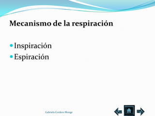 Mecanismo de la respiración

 Inspiración
 Espiración




          Gabriela Cordero Monge
 