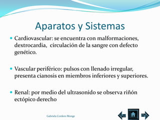 Aparatos y Sistemas
 Cardiovascular: se encuentra con malformaciones,
  dextrocardia, circulación de la sangre con defecto
  genético.

 Vascular periférico: pulsos con llenado irregular,
  presenta cianosis en miembros inferiores y superiores.

 Renal: por medio del ultrasonido se observa riñón
  ectópico derecho

               Gabriela Cordero Monge
 