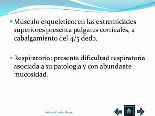  Músculo esquelético: en las extremidades
 superiores presenta pulgares corticales, a
 cabalgamiento del 4/5 dedo.

 Respiratorio: presenta dificultad respiratoria
 asociada a su patología y con abundante
 mucosidad.




            Gabriela Cordero Monge
 