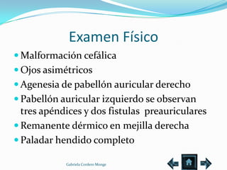 Examen Físico
 Malformación cefálica
 Ojos asimétricos
 Agenesia de pabellón auricular derecho
 Pabellón auricular izquierdo se observan
  tres apéndices y dos fistulas preauriculares
 Remanente dérmico en mejilla derecha
 Paladar hendido completo

            Gabriela Cordero Monge
 