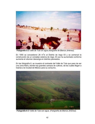 42
Fotografía 5 El valle de Tula sin agua (fotografía de Blanca Jiménez).
En 1955 se concedieron 26 m3
/s al Distrito de riego 03 y se comenzó la
construcción de un complejo sistema de riego. El uso ha aumentado conforme
aumenta el volumen descarga en distritos planeados.
En las fotografía 6, se muestra el contraste del Valle de Tula que paso de ser
una zona fértil y donde hay grandes campos de cultivos, de los cuales llegan a
traerse a la Ciudad de México para su consumo.
Fotografía 6 El Valle de Tula con agua. (Fotografía de Blanca Jiménez).
 