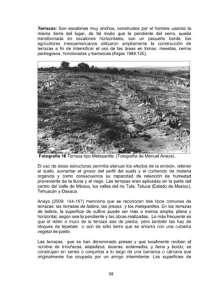 58
Terrazas: Son escalones muy anchos, construidos por el hombre usando la
misma tierra del lugar, de tal modo que la pendiente del cerro, queda
transformada en escalones horizontales, con un pequeño borde, los
agricultores mesoamericanos utilizaron ampliamente la construcción de
terrazas a fin de intensificar el uso de las áreas en lomas, mesetas, cerros
pedregosos, hondonadas y barrancas (Rojas 1988:120).
Fotografía 16 Terraza tipo Metepantle. (Fotografía de Manuel Anaya).
El uso de estas estructuras permitía atenuar los efectos de la erosión, retener
el suelo, aumentar el grosor del perfil del suelo y el contenido de materia
orgánica y como consecuencia su capacidad de retención de humedad
proveniente de la lluvia y el riego. Las terrazas eran aplicadas en la parte del
centro del Valle de México, los valles del rio Tula, Toluca (Estado de Mexico),
Tehuacán y Oaxaca.
Anaya (2009: 144-157) menciona que se reconocen tres tipos comunes de
terrazas: las terrazas de ladera, las presas y los metepantles. En las terrazas
de ladera, la superficie de cultivo puede ser más o menos amplia, plana y
horizontal, según sea la pendiente y las obras realizadas. Lo más frecuente es
que el retén o muro de la terraza sea de piedra, pero también las hay de
bloques de tepetate o aún de sólo tierra que se amarra con una cubierta
vegetal de pasto.
Las terrazas que se han denominado presas y que localmente reciben el
nombre de trincheras, atajadizos, teceras, enlamados, y lama y bordo, se
construyen en series o conjuntos a lo largo de una barranca o cárcava que
originalmente fue ocupada por un arroyo intermitente. Las superficies de
 