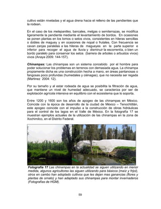 59
cultivo están niveladas y el agua drena hacia el relleno de las pendientes que
la rodean.
En el caso de los metepantles, bancales, melgas o semiterrazas, se modifica
ligeramente la pendiente mediante el levantamiento de bordos. En ocasiones
se ponen plantas en los lomos o setos vivos, consistentes en hileras sencillas
o dobles de maguey y en ocasiones de nopal o frutales. Con frecuencia se
cavan zanjas paralelas a las hileras de magueyes en la parte superior e
inferior para recoger el agua de lluvia y disminuir la escorrentía, o bien un
bordo paralelo para conservar los setos (barrera de arboles o arbustos vivos)
vivos (Anaya 2009: 144-157).
Chinampas: Las chinampas son un sistema concebido por el hombre para
poder solucionar los problemas en terrenos con demasiada agua. La chinampa
propiamente dicha es una construcción hecha a mano, en áreas pantanosas o
fangosas poco profundas (humedales y ciénagas), que no necesita ser regada
(Martinez 2004: 12).
Por su tamaño y al estar rodeada de agua se posibilita la filtración de agua,
que mantiene un nivel de humedad adecuado, se caracteriza por ser de
explotación agrícola intensiva en equilibrio con el ecosistema que lo soporta.
Entre 1200 y 1600 son los años de apogeo de las chinampas en México.
Coincide con la época de desarrollo de la ciudad de México – Tenochtitlán,
este apogeo coincide con el impulso a la construcción de obras hidráulicas
para el control de los lagos en el Valle de México. En la fotografía 17 se
muestran ejemplos actuales de la utilización de las chinampas en la zona de
Xochimilco, en el Distrito Federal.
Fotografía 17 Las chinampas en la actualidad se siguen utilizando en menor
medida, algunos agricultores las siguen utilizando para básicos (maíz y frijol),
otros en cambo han adoptado cultivos que les dejan mas ganancias (flores y
plantas de ornato) y han adaptado sus chinampas para montar invernaderos
(Fotografías de HGM).
 