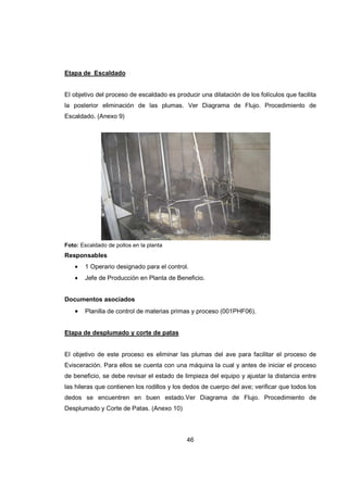 46
Etapa de Escaldado
El objetivo del proceso de escaldado es producir una dilatación de los folículos que facilita
la posterior eliminación de las plumas. Ver Diagrama de Flujo. Procedimiento de
Escaldado. (Anexo 9)
Foto: Escaldado de pollos en la planta
Responsables
• 1 Operario designado para el control.
• Jefe de Producción en Planta de Beneficio.
Documentos asociados
• Planilla de control de materias primas y proceso (001PHF06).
Etapa de desplumado y corte de patas
El objetivo de este proceso es eliminar las plumas del ave para facilitar el proceso de
Evisceración. Para ellos se cuenta con una máquina la cual y antes de iniciar el proceso
de beneficio, se debe revisar el estado de limpieza del equipo y ajustar la distancia entre
las hileras que contienen los rodillos y los dedos de cuerpo del ave; verificar que todos los
dedos se encuentren en buen estado.Ver Diagrama de Flujo. Procedimiento de
Desplumado y Corte de Patas. (Anexo 10)
 