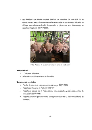 48
• De acuerdo a la revisión anterior, realizar los descartes de pollo que no se
encuentren en las condiciones adecuadas y depositar en las canastas ubicadas en
el lugar asignado para el pollo de descarte, el número de aves descartadas se
reporta en la planilla 001PHF06/07.
Foto: Proceso de revisión del pollo en canal de producción
Responsables
• 1 Operarios asignados.
• Jefe de Producción en Planta de Beneficio.
Documentos asociados
• Planilla de control de materias primas y proceso (001PHF06).
• Reporte de Descarte de Pollo (001PHF07)
• Reporte de calidad No. 1: Recepción de pollo, descartes y reproceso por lote de
producción (001PHF11)
• Reporte generado por el sistema en la planilla 001PHF12 “Resumen Planta de
sacrificio”
 