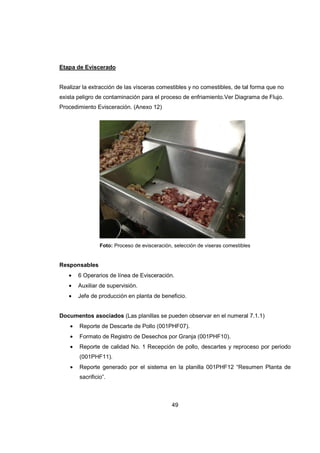 49
Etapa de Eviscerado
Realizar la extracción de las vísceras comestibles y no comestibles, de tal forma que no
exista peligro de contaminación para el proceso de enfriamiento.Ver Diagrama de Flujo.
Procedimiento Evisceración. (Anexo 12)
Foto: Proceso de evisceración, selección de viseras comestibles
Responsables
• 6 Operarios de línea de Evisceración.
• Auxiliar de supervisión.
• Jefe de producción en planta de beneficio.
Documentos asociados (Las planillas se pueden observar en el numeral 7.1.1)
• Reporte de Descarte de Pollo (001PHF07).
• Formato de Registro de Desechos por Granja (001PHF10).
• Reporte de calidad No. 1 Recepción de pollo, descartes y reproceso por periodo
(001PHF11).
• Reporte generado por el sistema en la planilla 001PHF12 “Resumen Planta de
sacrificio”.
 