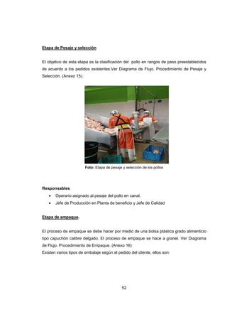 52
Etapa de Pesaje y selección
El objetivo de esta etapa es la clasificación del pollo en rangos de peso preestablecidos
de acuerdo a los pedidos existentes.Ver Diagrama de Flujo. Procedimiento de Pesaje y
Selección. (Anexo 15).
Foto: Etapa de pesaje y selección de los pollos
Responsables
• Operario asignado al pesaje del pollo en canal.
• Jefe de Producción en Planta de beneficio y Jefe de Calidad
Etapa de empaque.
El proceso de empaque se debe hacer por medio de una bolsa plástica grado alimenticio
tipo capuchón calibre delgado. El proceso de empaque se hace a granel. Ver Diagrama
de Flujo. Procedimiento de Empaque. (Anexo 16)
Existen varios tipos de embalaje según el pedido del cliente, ellos son:
 