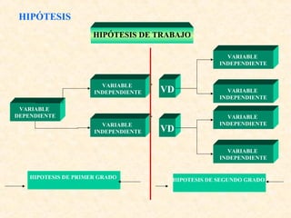 HIPÓTESIS
HIPÓTESIS DE TRABAJO
VARIABLE
DEPENDIENTE
VARIABLE
INDEPENDIENTE
VARIABLE
INDEPENDIENTE
VARIABLE
INDEPENDIENTE
VARIABLE
INDEPENDIENTE
VARIABLE
INDEPENDIENTE
VD
VD
VARIABLE
INDEPENDIENTE
HIPOTESIS DE PRIMER GRADO HIPOTESIS DE SEGUNDO GRADO
 